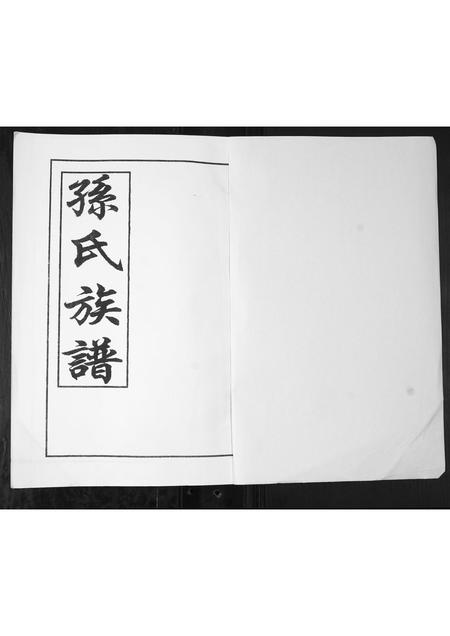 山东孙氏-孙氏族谱.pdf电子版插图1 山东孙氏-孙氏族谱.pdf电子版插图1