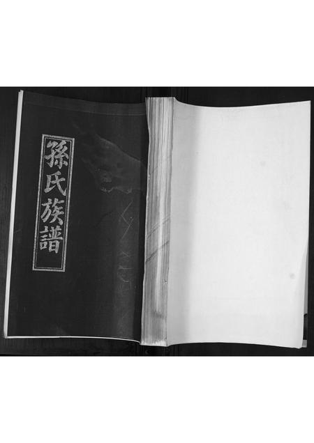 山东孙氏-孙氏族谱.pdf电子版插图 山东孙氏-孙氏族谱.pdf电子版插图