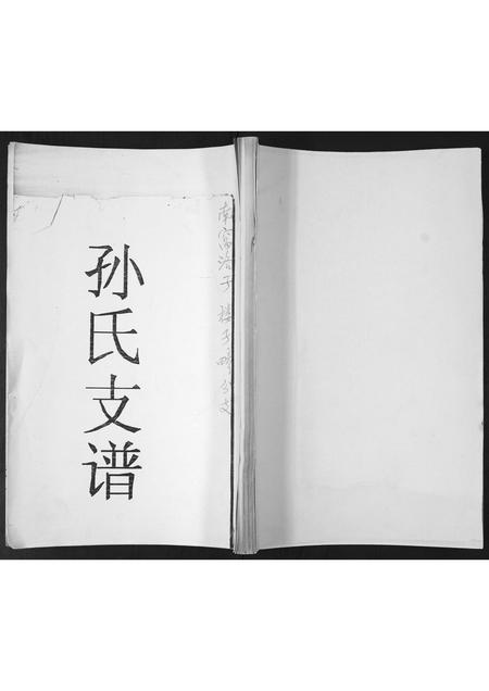 山东孙氏-孙氏族谱.pdf电子版