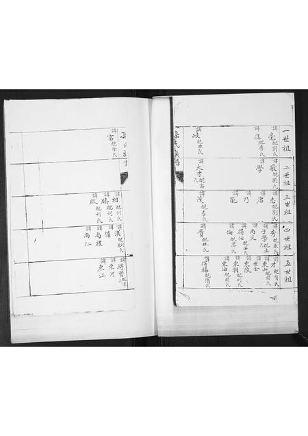 山东孙氏-孙氏族谱.pdf电子版插图1