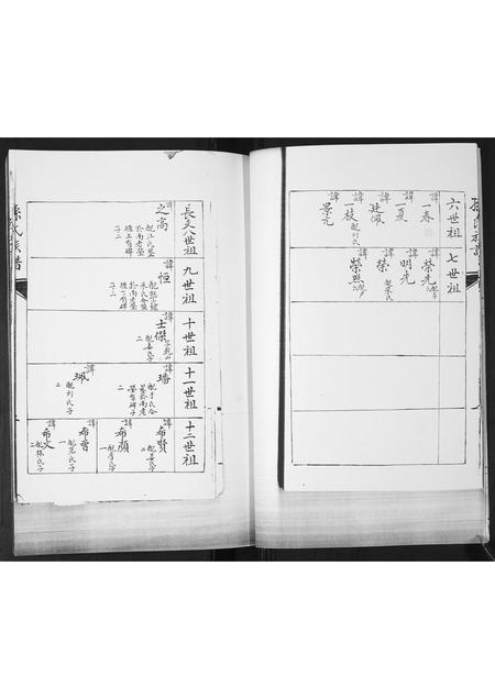 山东孙氏-孙氏族谱.pdf电子版插图5