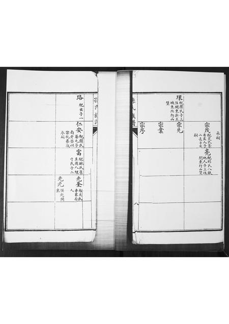 山东孙氏-孙氏族谱.pdf电子版插图2