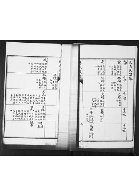 山东孙氏-孙氏族谱.pdf电子版插图3