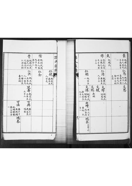 山东孙氏-孙氏族谱.pdf电子版插图5