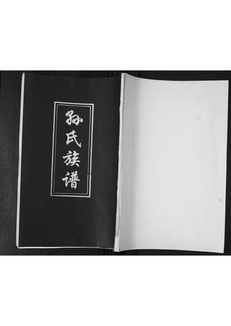 山东孙氏-孙氏族谱.pdf电子版插图 山东孙氏-孙氏族谱.pdf电子版插图