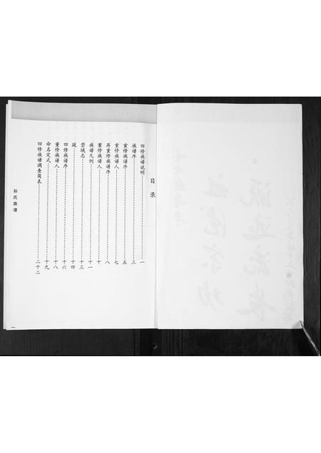 山东孙氏-孙氏族谱.pdf电子版插图2 山东孙氏-孙氏族谱.pdf电子版插图2