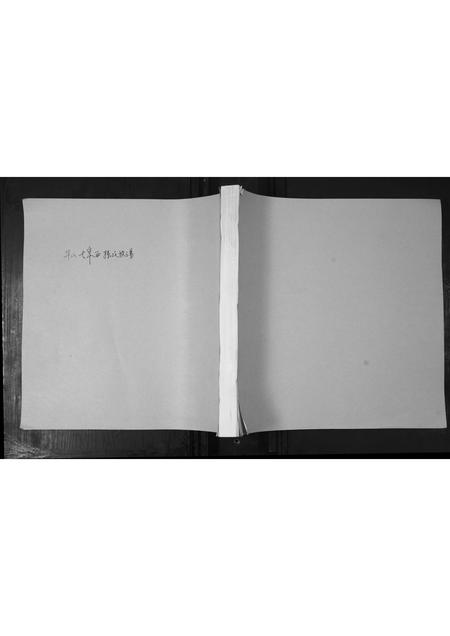 山东孙氏-孙氏族谱.pdf电子版插图 山东孙氏-孙氏族谱.pdf电子版插图