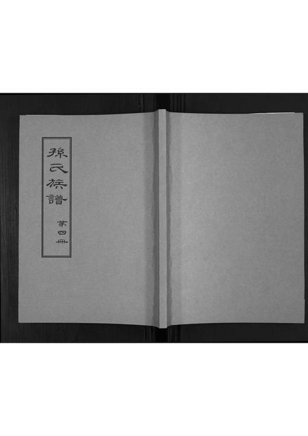 山东孙氏-孙氏族谱.pdf电子版插图 山东孙氏-孙氏族谱.pdf电子版插图