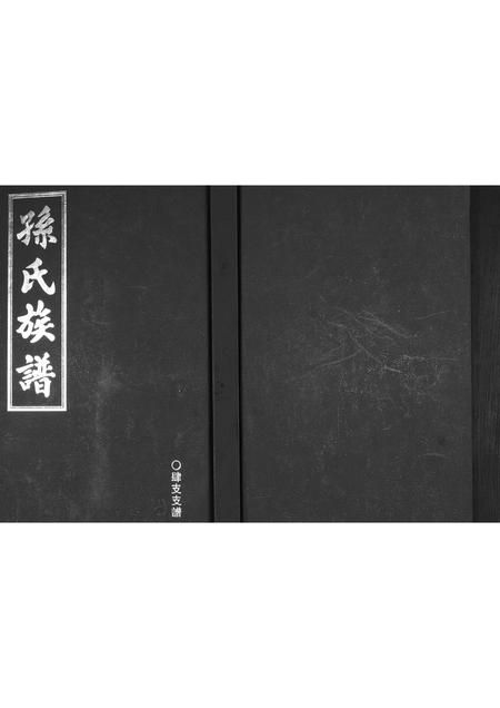 山东孙氏-孙氏族谱.pdf电子版插图 山东孙氏-孙氏族谱.pdf电子版插图