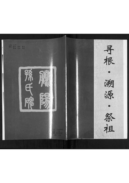 山东孙氏-孙氏族谱.pdf电子版插图 山东孙氏-孙氏族谱.pdf电子版插图