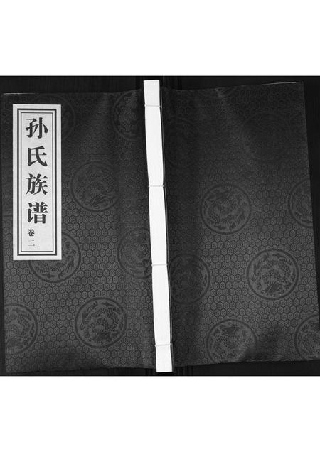 山东孙氏-孙氏族谱[2卷].pdf电子版