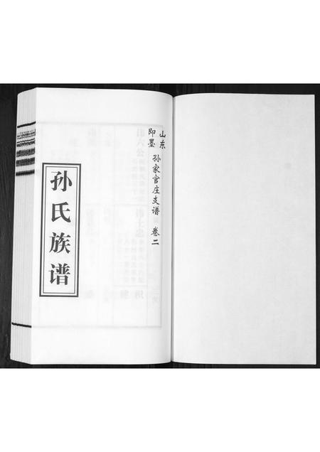 山东孙氏-孙氏族谱[2卷].pdf电子版插图1