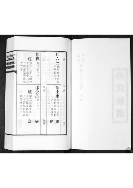 山东孙氏-孙氏族谱[2卷].pdf电子版插图2