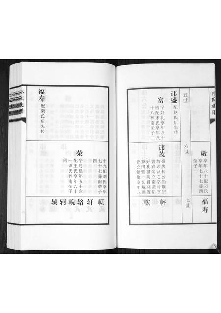 山东孙氏-孙氏族谱[2卷].pdf电子版插图3