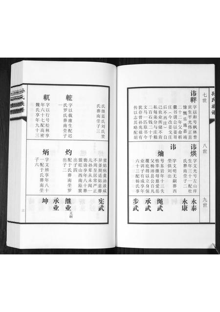 山东孙氏-孙氏族谱[2卷].pdf电子版插图4