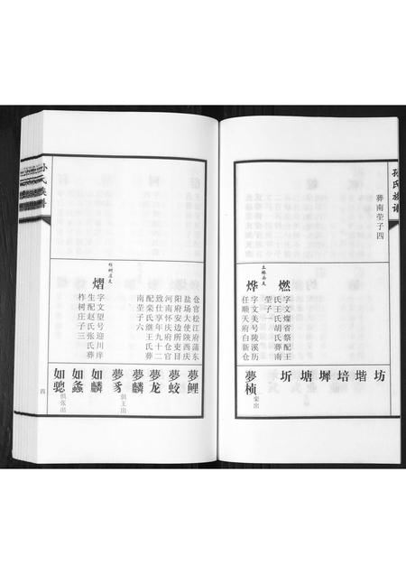 山东孙氏-孙氏族谱[2卷].pdf电子版插图5