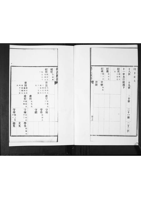 山东孙氏-孙氏族谱[2卷].pdf电子版插图1