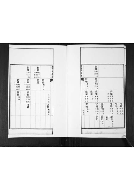 山东孙氏-孙氏族谱[2卷].pdf电子版插图2