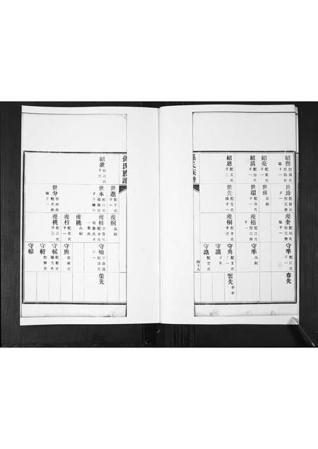 山东孙氏-孙氏族谱[2卷].pdf电子版插图3