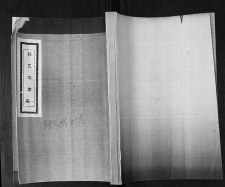 山东孙氏-孙氏族谱[4卷].pdf电子版插图