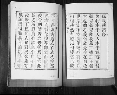 山东孙氏-孙氏族谱[4卷].pdf电子版插图2