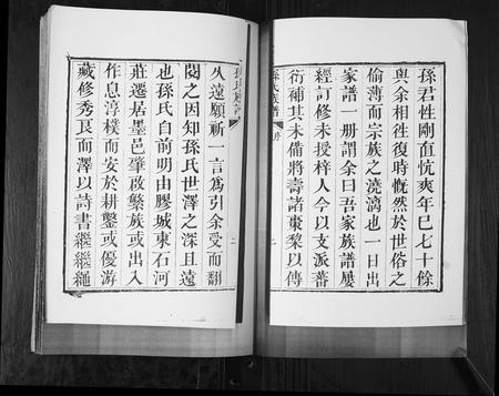 山东孙氏-孙氏族谱[4卷].pdf电子版插图3