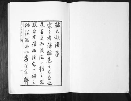 山东孙氏-孙氏族谱[4卷].pdf电子版插图1