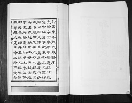 山东孙氏-孙氏族谱[5卷].pdf电子版插图2