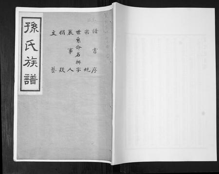 山东孙氏-孙氏族谱[不分卷].pdf电子版插图