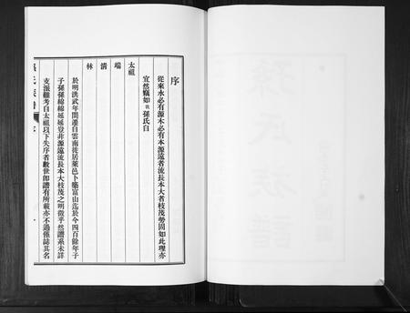 山东孙氏-孙氏族谱[不分卷].pdf电子版插图2