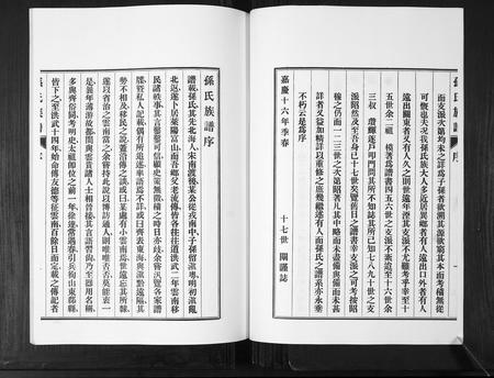 山东孙氏-孙氏族谱[不分卷].pdf电子版插图3
