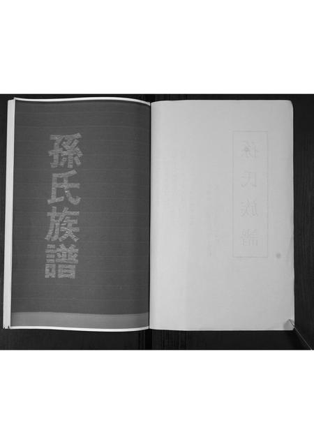 山东孙氏-孙氏族谱[不分卷].pdf电子版插图1