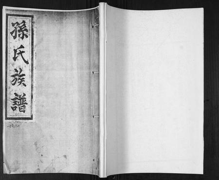 山东孙氏-孙氏族谱[不分卷].pdf电子版插图
