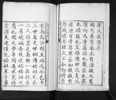山东孙氏-孙氏族谱[不分卷].pdf电子版插图2