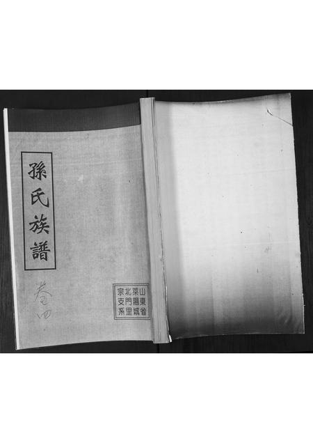 山东孙氏-孙氏族谱[不分卷].pdf电子版