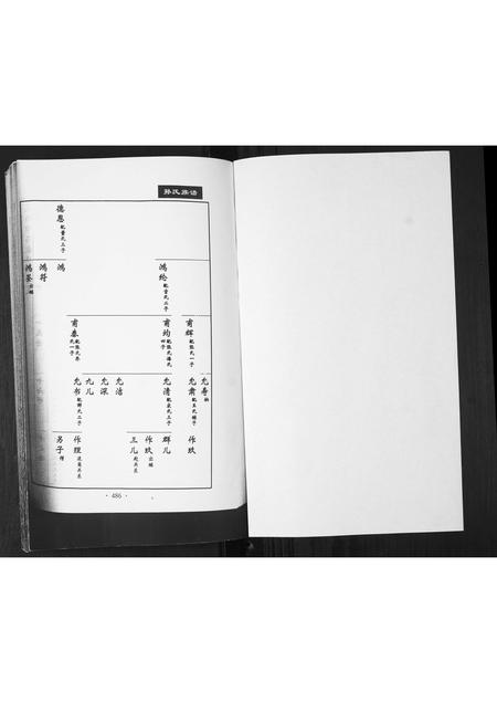 山东孙氏-孙氏族谱[不分卷].pdf电子版插图1