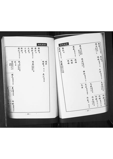 山东孙氏-孙氏族谱[不分卷].pdf电子版插图2