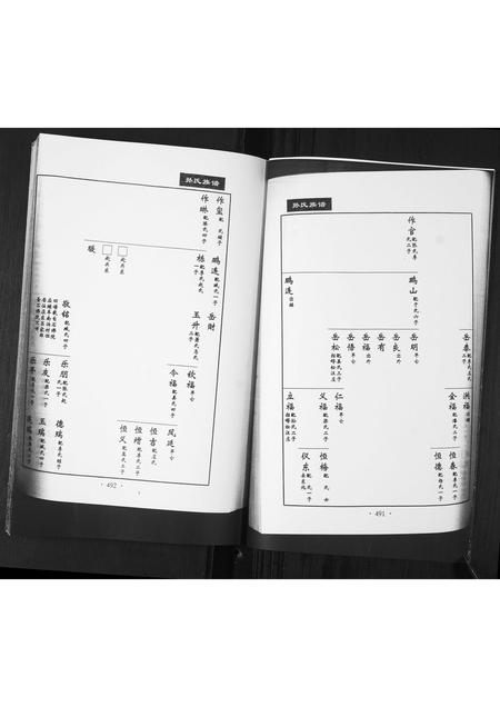 山东孙氏-孙氏族谱[不分卷].pdf电子版插图4