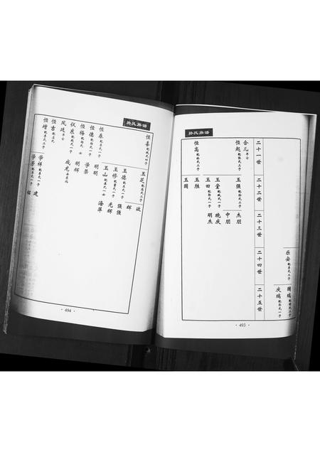 山东孙氏-孙氏族谱[不分卷].pdf电子版插图5