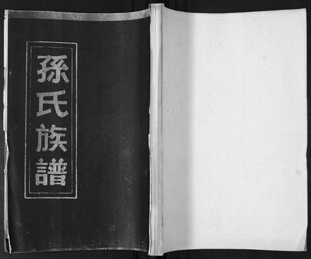 山东孙氏-孙氏族谱[不分卷].pdf电子版插图
