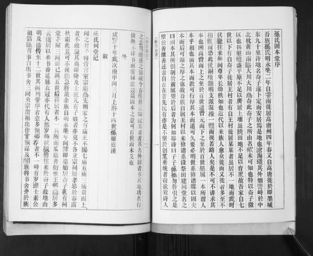 山东孙氏-孙氏族谱[不分卷].pdf电子版插图4