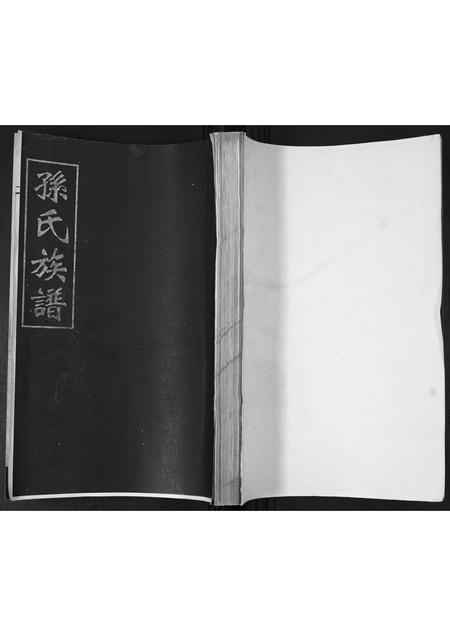 山东孙氏-孙氏族谱[不分卷].pdf电子版