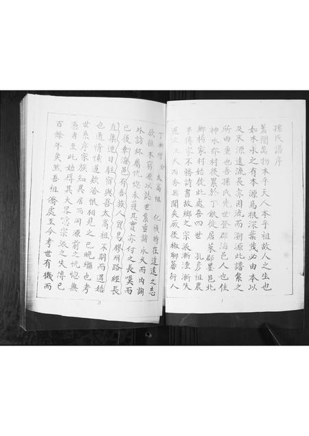 山东孙氏-孙氏族谱[不分卷].pdf电子版插图1