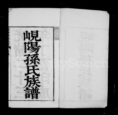 山东孙氏-岘阳孙氏族谱 [18卷,首末各1卷](别名：僊源岘阳孙氏族谱).pdf电子版插图1