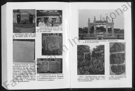 山东孙氏-般阳孙氏家谱(四支一册) [不分卷].pdf电子版插图5