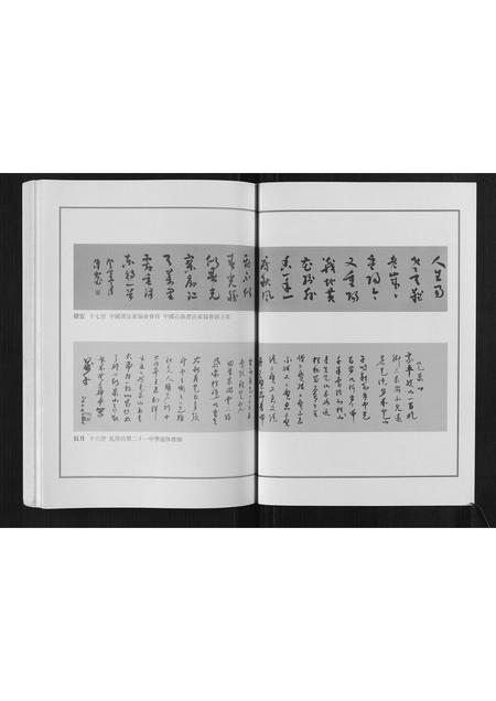 山东孙氏-莱阳湾头孙氏宗谱[2卷].pdf电子版插图3