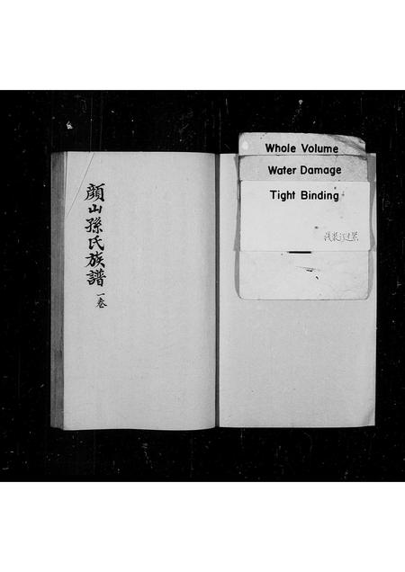 山东孙氏-颜山孙氏族谱.pdf电子版插图1