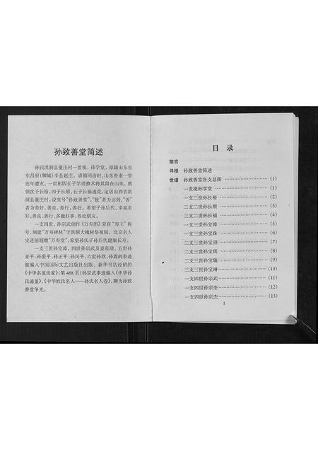 山西孙氏-孙致善堂家谱[不分卷].pdf电子版插图1