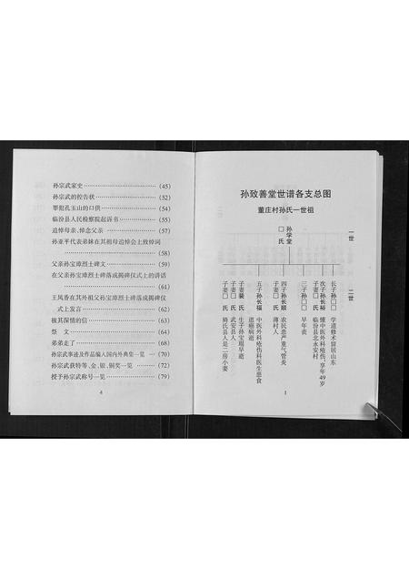 山西孙氏-孙致善堂家谱[不分卷].pdf电子版插图3