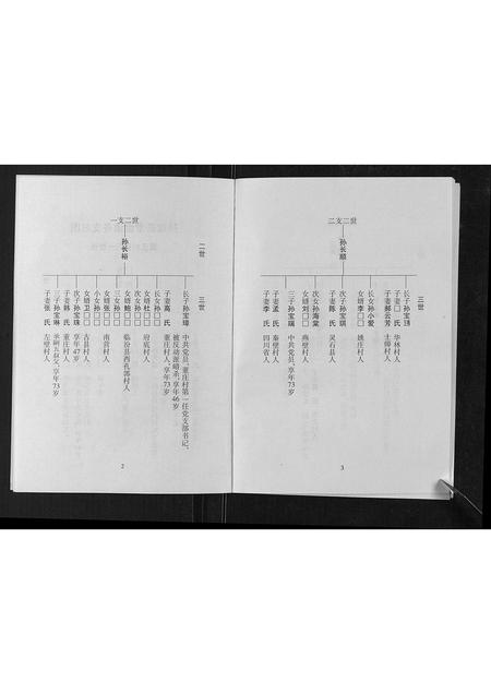 山西孙氏-孙致善堂家谱[不分卷].pdf电子版插图4